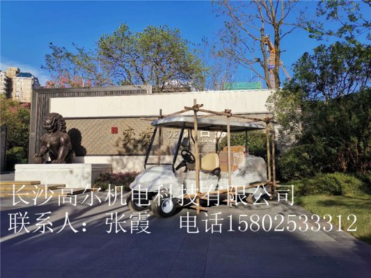 長沙龍湖地產又一次購買我公司觀光看房車用于